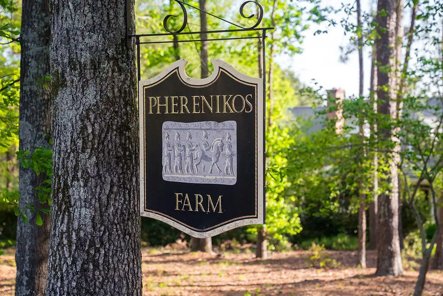 275 Homeward Bound Drive, North Augusta, SC 29860 - #2