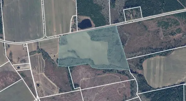 Tbd Fire Tower Road, Springfield, SC 29146