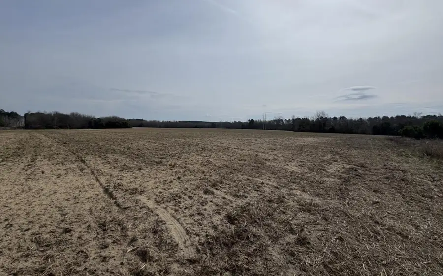 Tbd Fire Tower Road, Springfield, SC 29146 - #3