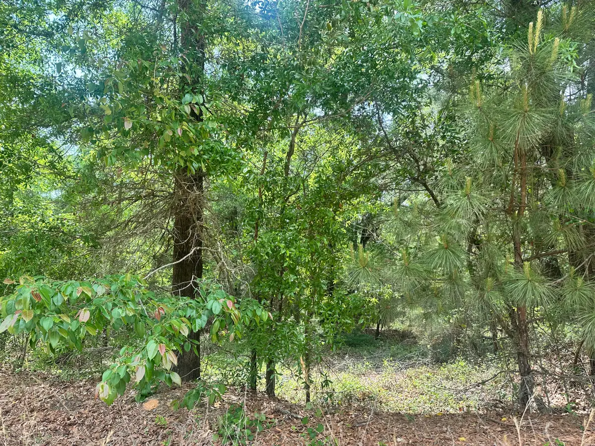 Lot 10 Warbonnet Road, Springfield, SC 29146 - #1