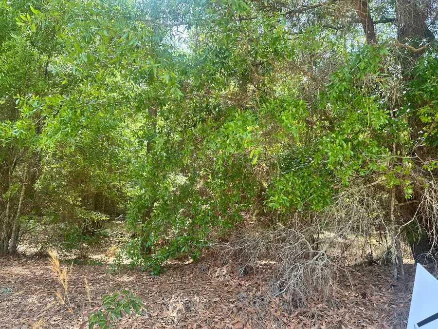 Lot 10 Warbonnet Road, Springfield, SC 29146 - #2