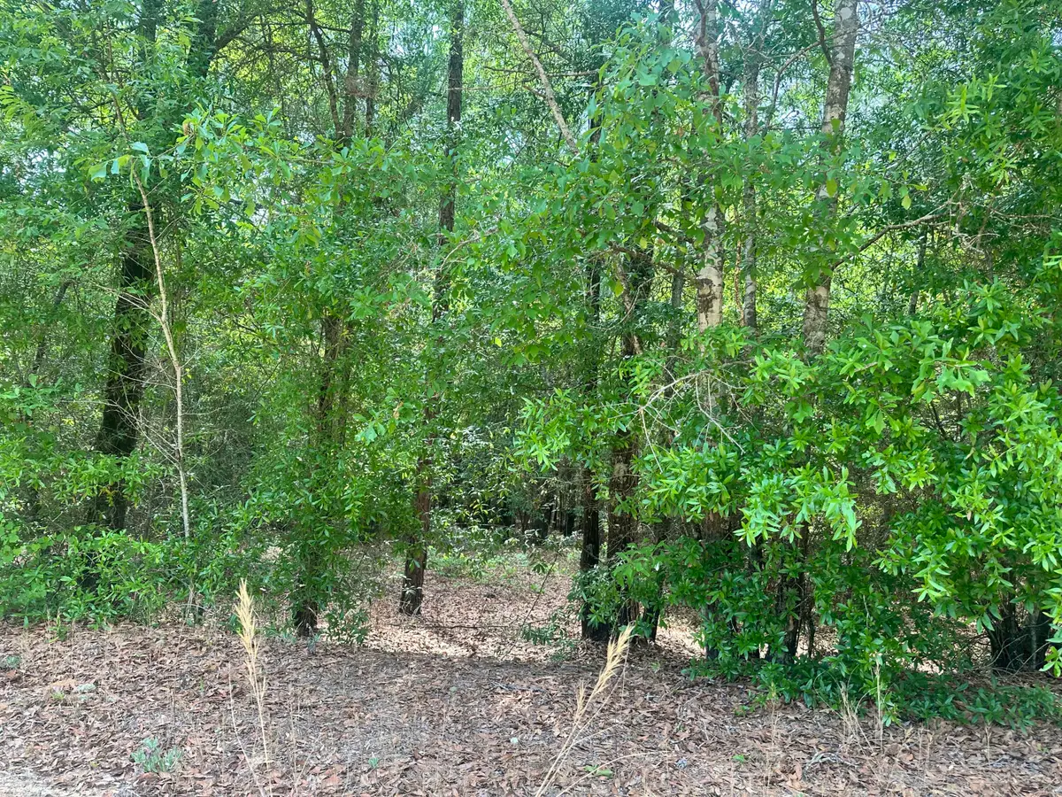 Lot 11 Warbonnet Road, Springfield, SC 29146 - #1