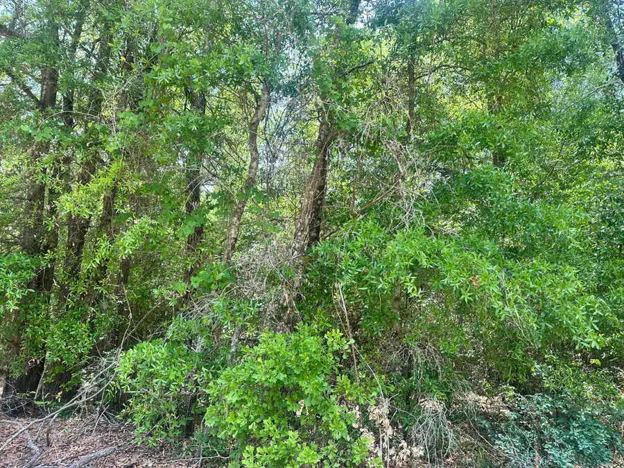 Lot 11 Warbonnet Road, Springfield, SC 29146 - #2