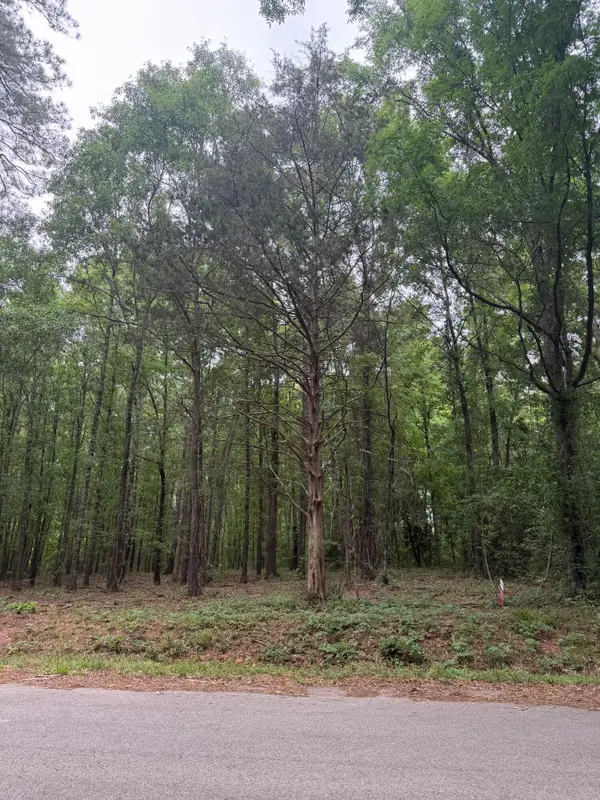 Tbd Pine Valley Drive, Edgefield, SC 29824
