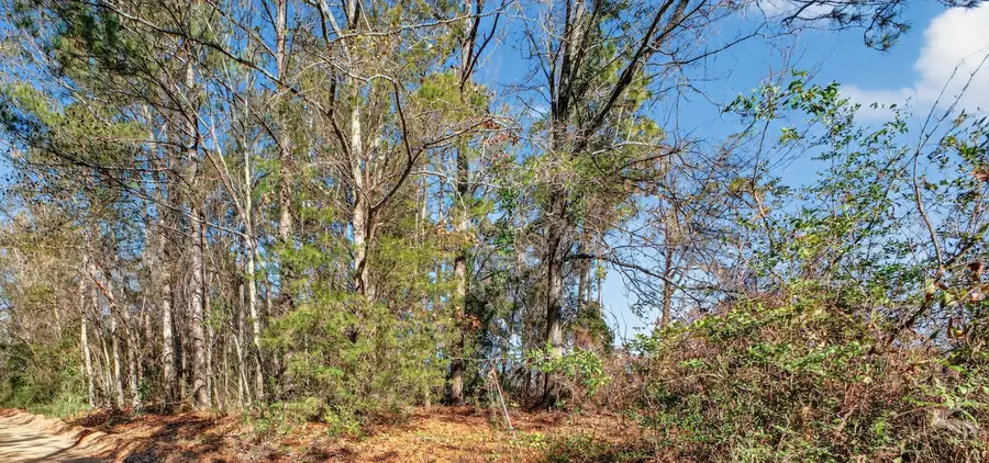 469 Harlem Street, New Ellenton, SC 29809 - #2