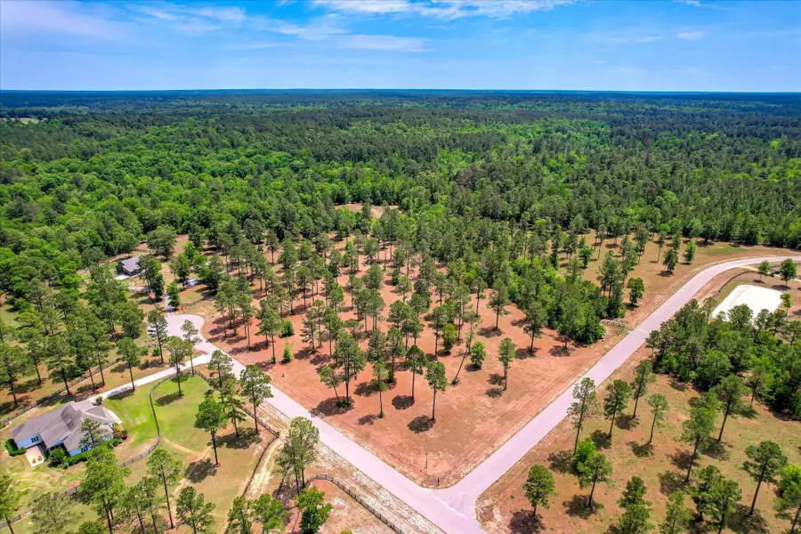 Lot 19 Rembert Place, Aiken, SC 29803 - #2