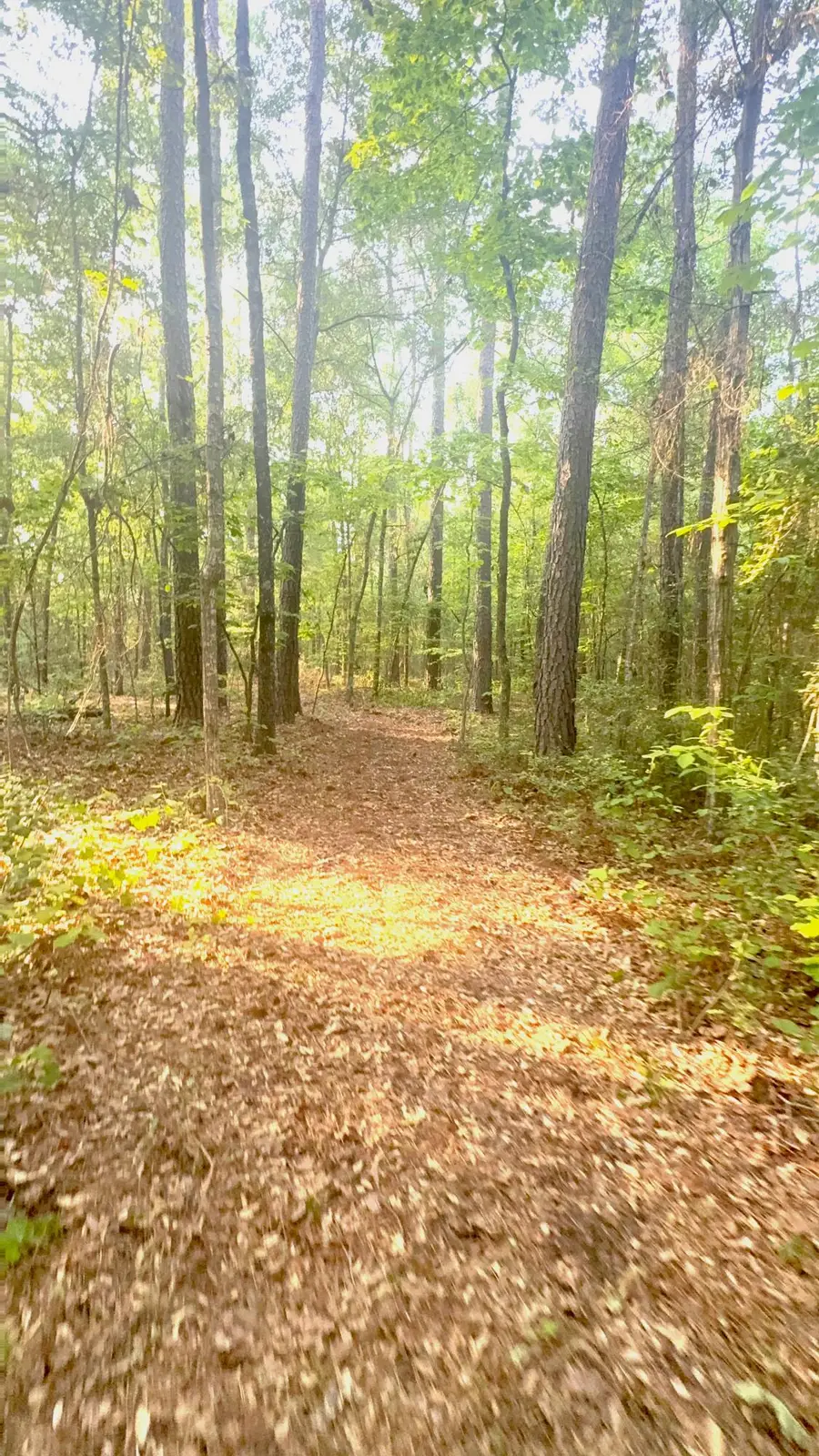 000 Old Whiskey Road S, New Ellenton, SC 29809 - #3