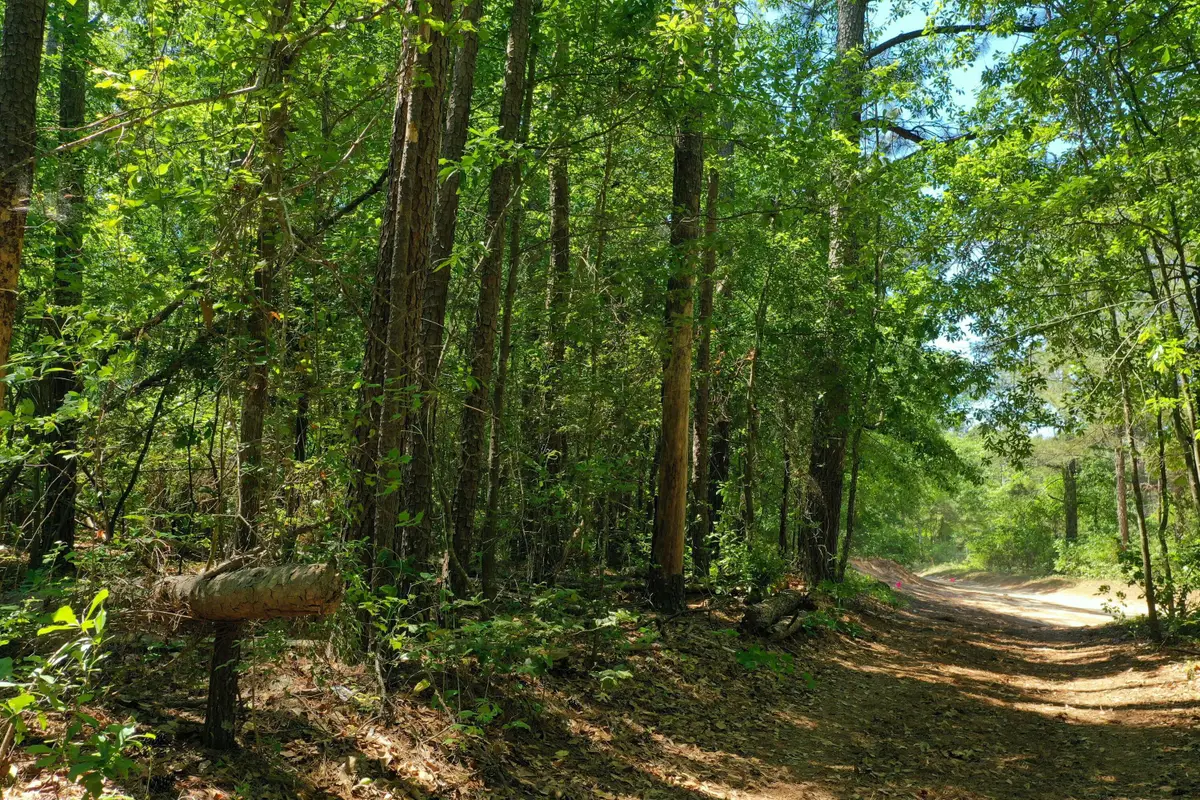 0 Mccain Road, North Augusta, SC 29860 - #1