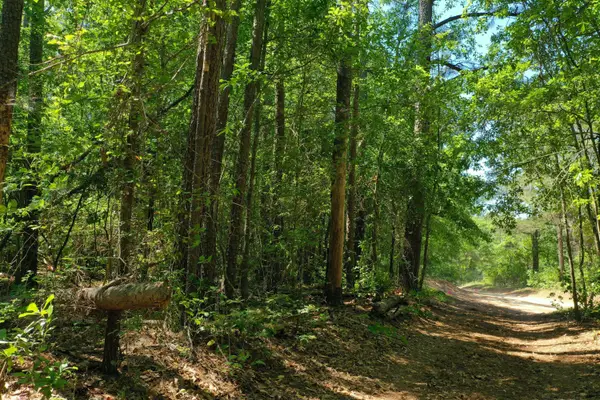 0 Mccain Road, North Augusta, SC 29860