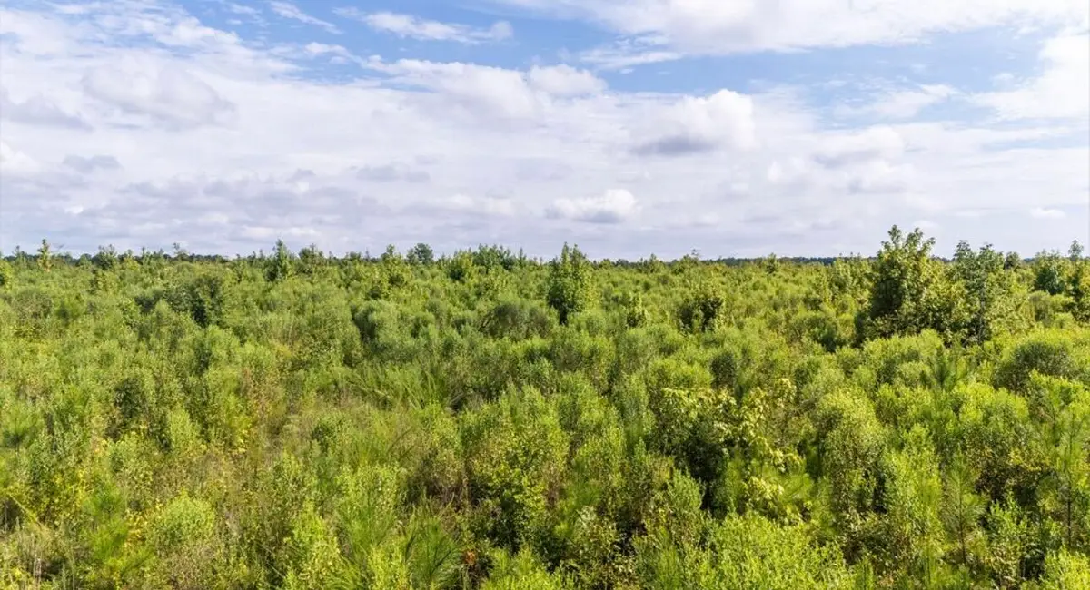 0 Ouzts Road, Edgefield, SC 29824 - #1
