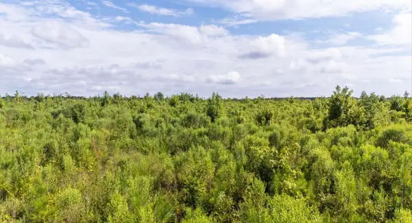 0 Ouzts Road, Edgefield, SC 29824