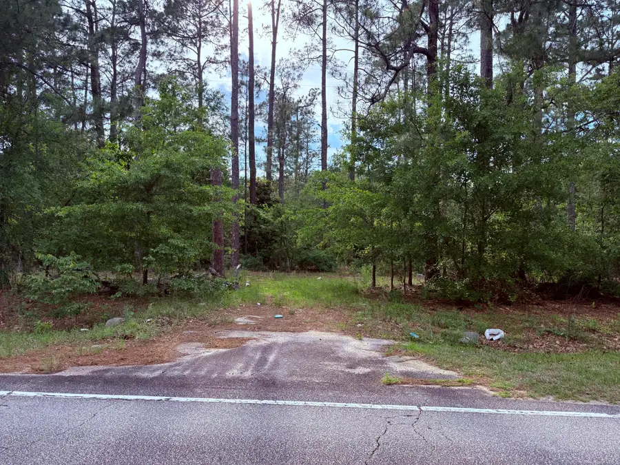 5827 Reynolds Road, Blackville, SC 29817 - #3