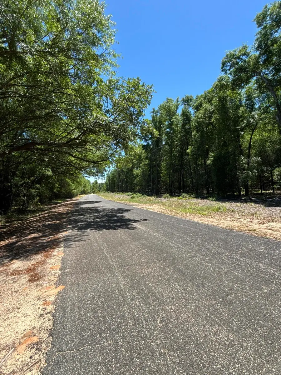 0 Warbonnet Road, Springfield, SC 29146 - #2