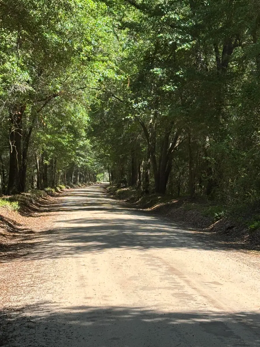 0 Warbonnet Road, Springfield, SC 29146 - #3