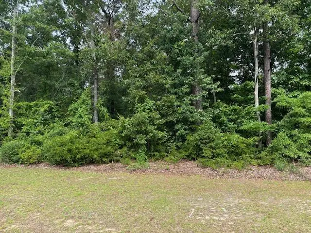 000 Sc Hwy 3, Barnwell, SC 29812 - #1
