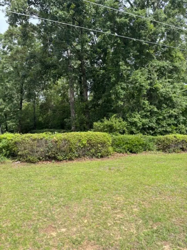 000 Sc Hwy 3, Barnwell, SC 29812 - #3