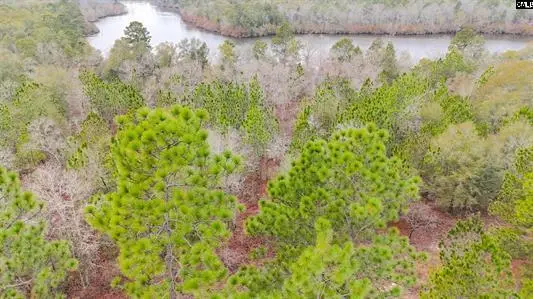 0 Browns Pond Road, Wagener, SC 29164 - #1