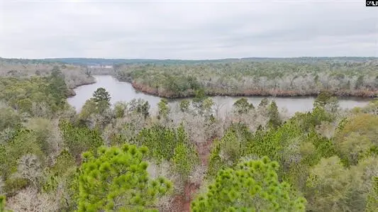 0 Browns Pond Road, Wagener, SC 29164 - #3