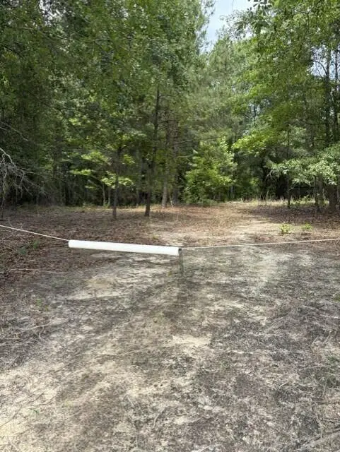 0 Cemetery Road, Elko, SC 29826 - #1