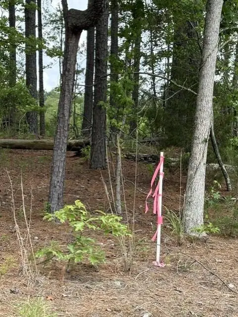 Lot B Cemetery Road, Elko, SC 29826 - #2