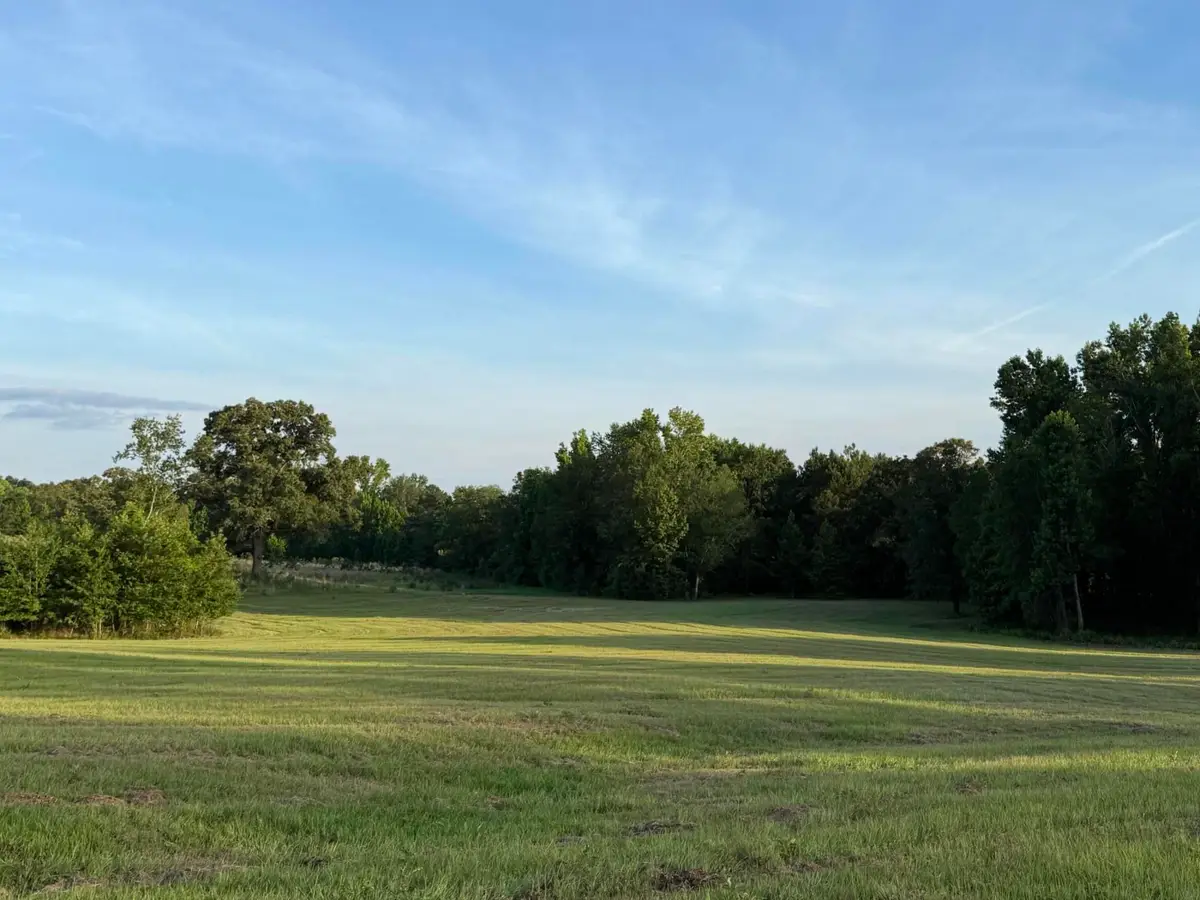 Lot 16 Reeves Street, Aiken, SC 29805 - #1