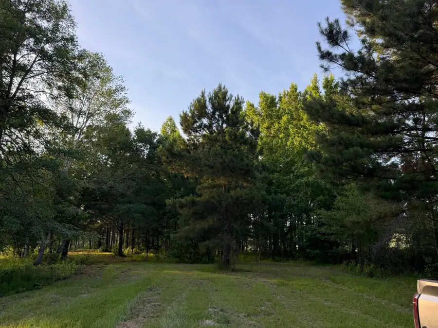 Lot 16 Reeves Street, Aiken, SC 29805 - #3