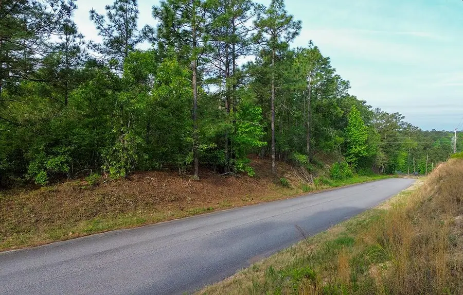 0000 Mount Zion Road #4, Trenton, SC 29847 - #2