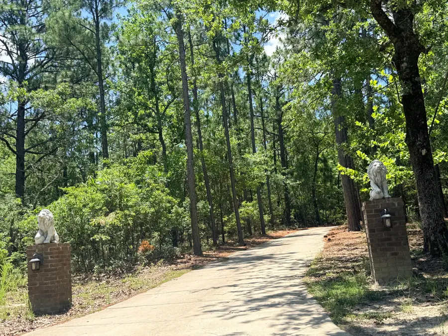 612 Edisto Lake Road, Wagener, SC 29164 - #3