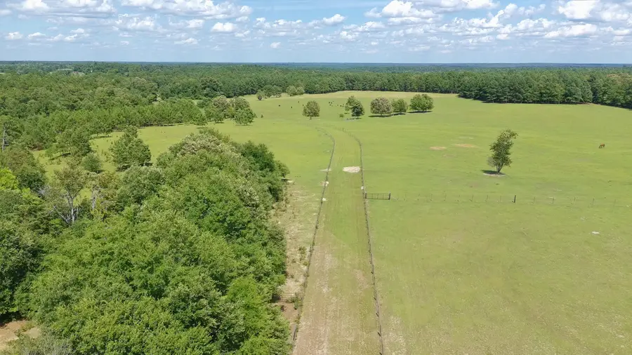 41 Acres Whiskey Road, Aiken, SC 29803 - #3