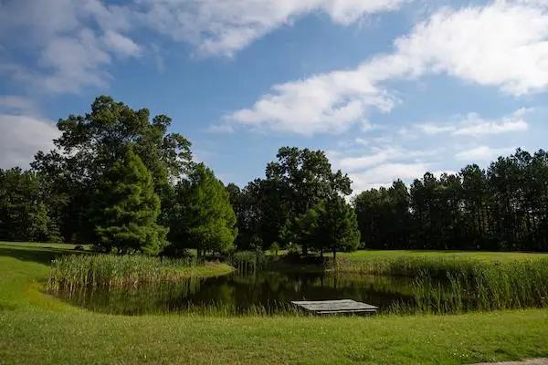544 Bridle Creek Trail, Aiken, SC 29803 - #3