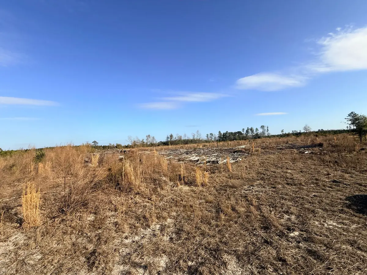 0 Festival Trail Road, Salley, SC 29137 - #1