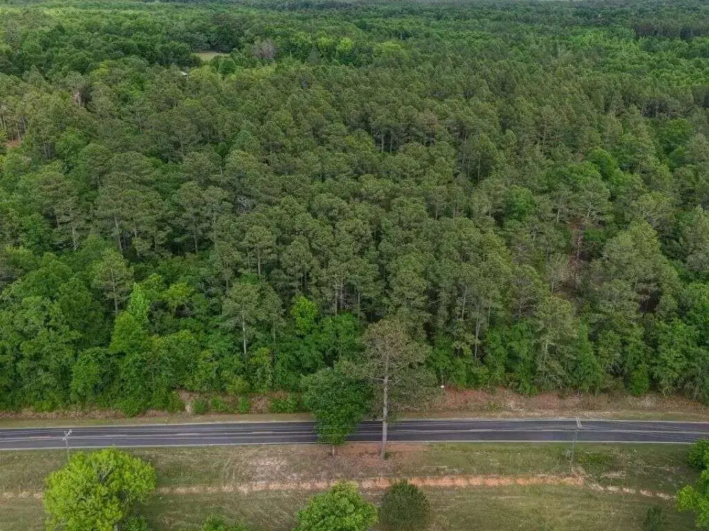 0 Lot 2 Holiness Church Road, Wagener, SC 29164 - #1
