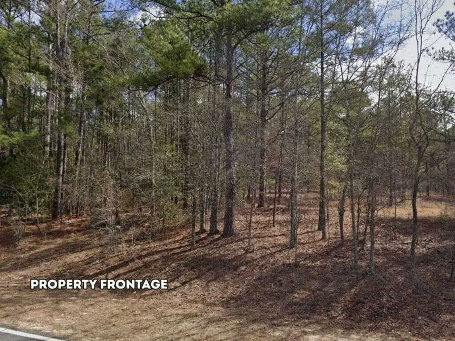 0 Lot 2 Holiness Church Road, Wagener, SC 29164 - #2