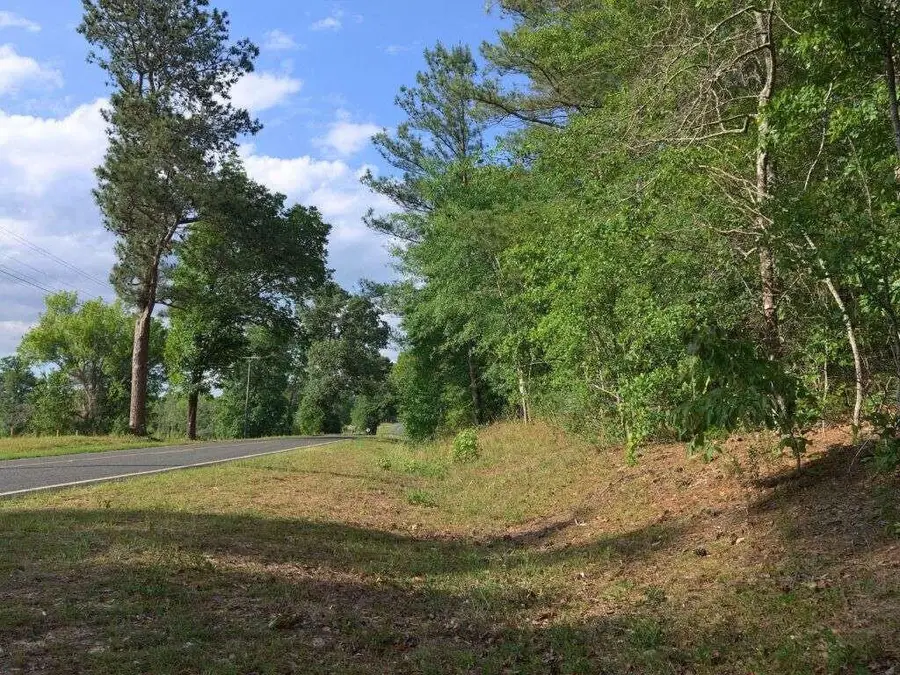 0 Lot 2 Holiness Church Road, Wagener, SC 29164 - #3