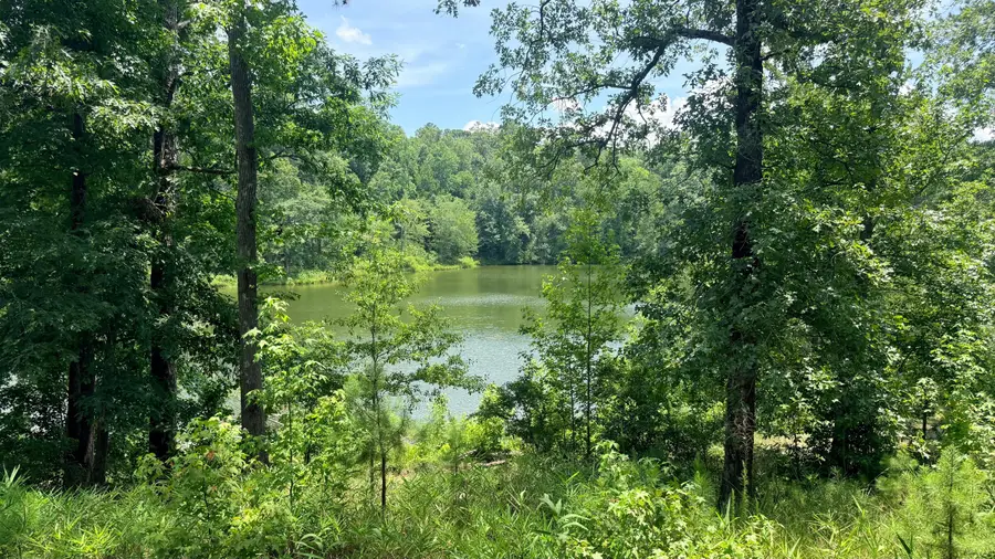 245 Hodges Bay Drive, Aiken, SC 29803 - #3
