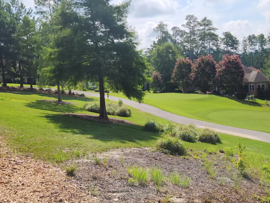 517 W Pleasant Colony Drive, Aiken, SC 29803 - #2