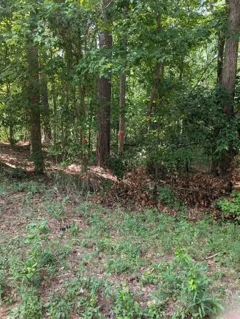 1-A New Delaughter Drive, North Augusta, SC 29860 - #3