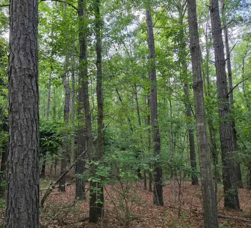 15a Woodberry Lane, North Augusta, SC 29841 - #1
