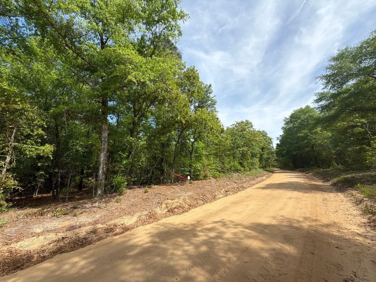 Rrf 1 Rogers Cemetery Road #Rrf 1, Salley, SC 29137 - #1