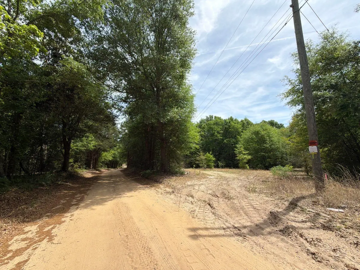 Rrf 4 Rogers Cemetery Road #Rrf 4, Salley, SC 29137 - #1