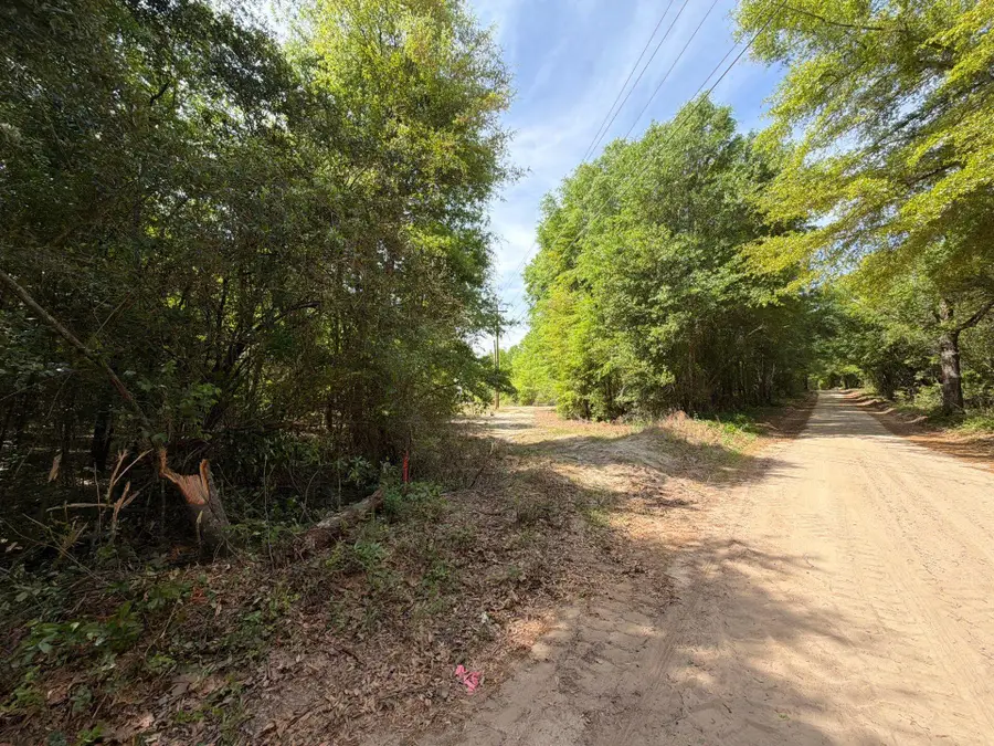 Rrf 4 Rogers Cemetery Road #Rrf 4, Salley, SC 29137 - #3