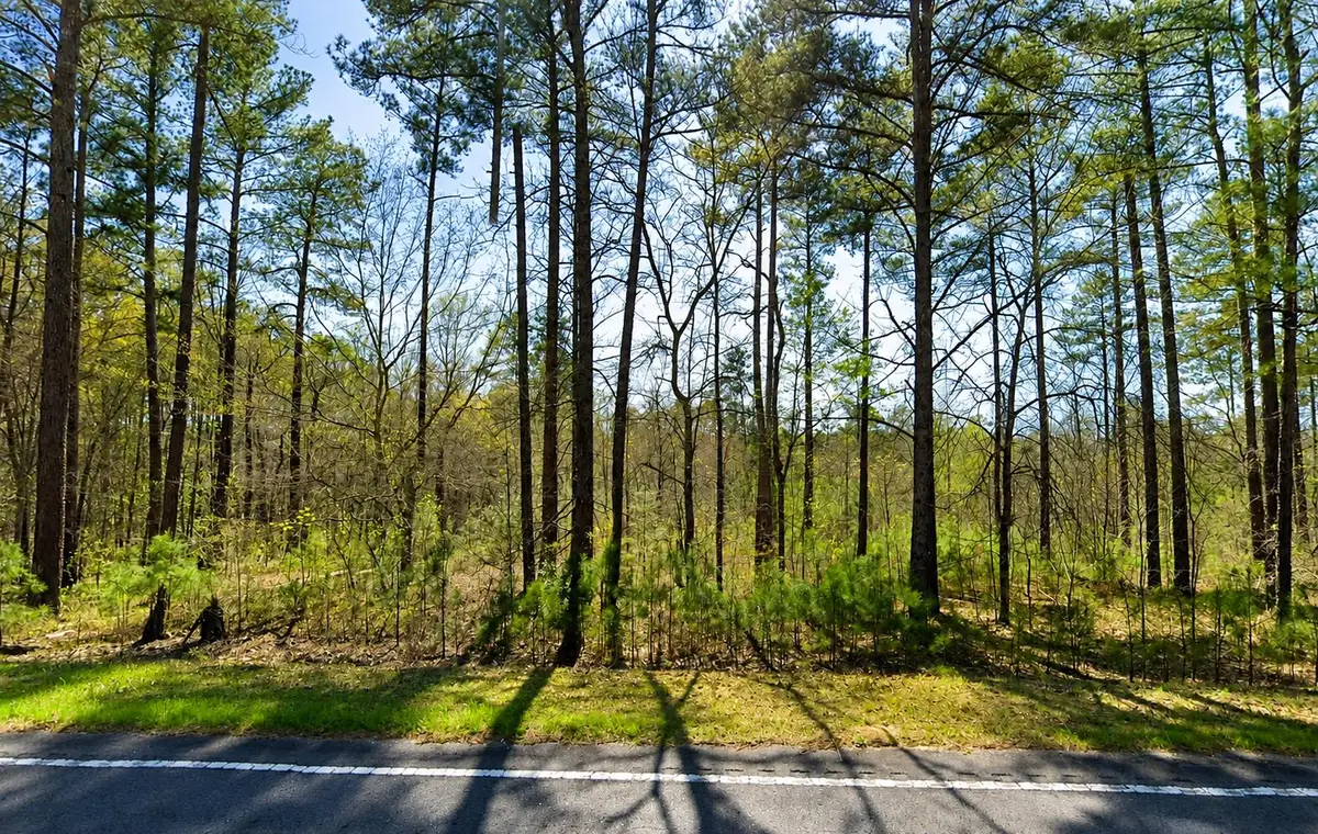 Tbd Banks Mill Road Se, Aiken, SC 29803 - #1