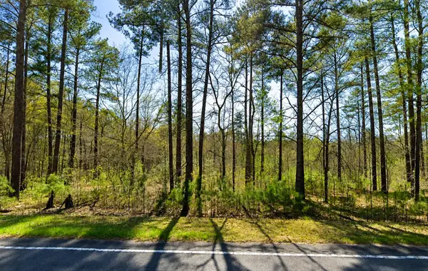 Tbd Banks Mill Road Se, Aiken, SC 29803