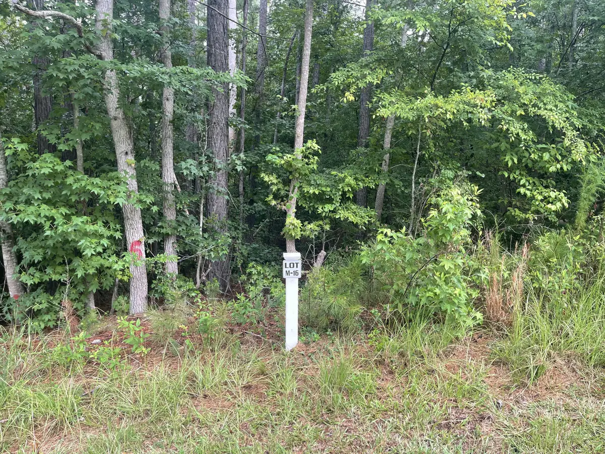Lot M-16 Cavalry Run, North Augusta, SC 29860 - #1