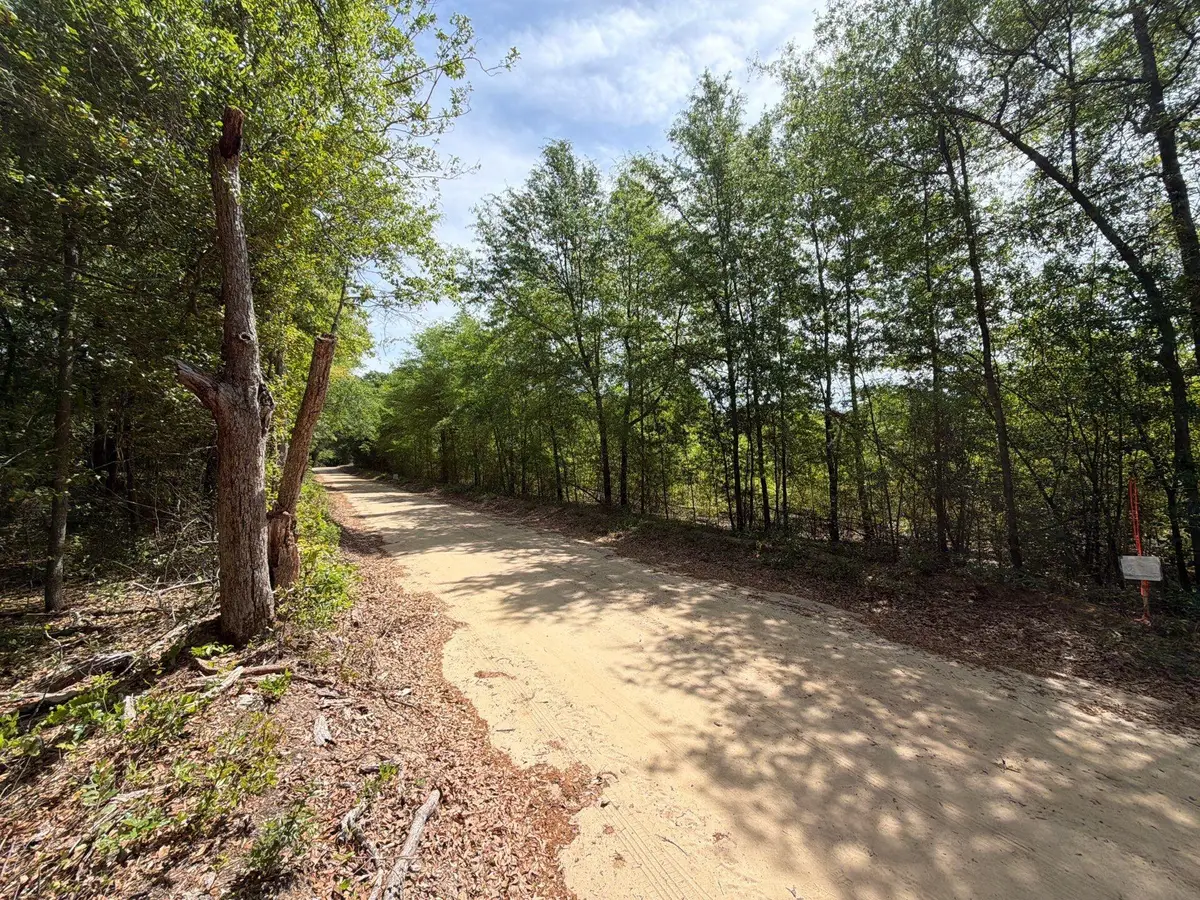 Rrf 5 Rogers Cemetery Road #Rrf 5, Salley, SC 29137 - #1