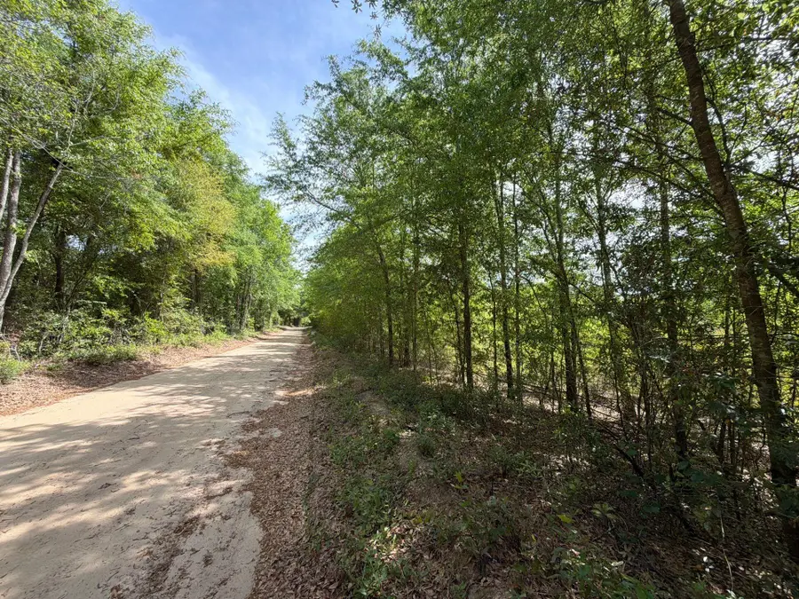Rrf 5 Rogers Cemetery Road #Rrf 5, Salley, SC 29137 - #2