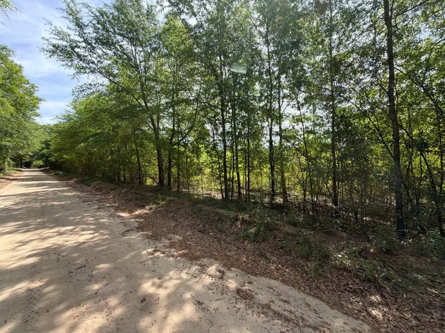 Rrf 5 Rogers Cemetery Road #Rrf 5, Salley, SC 29137 - #3
