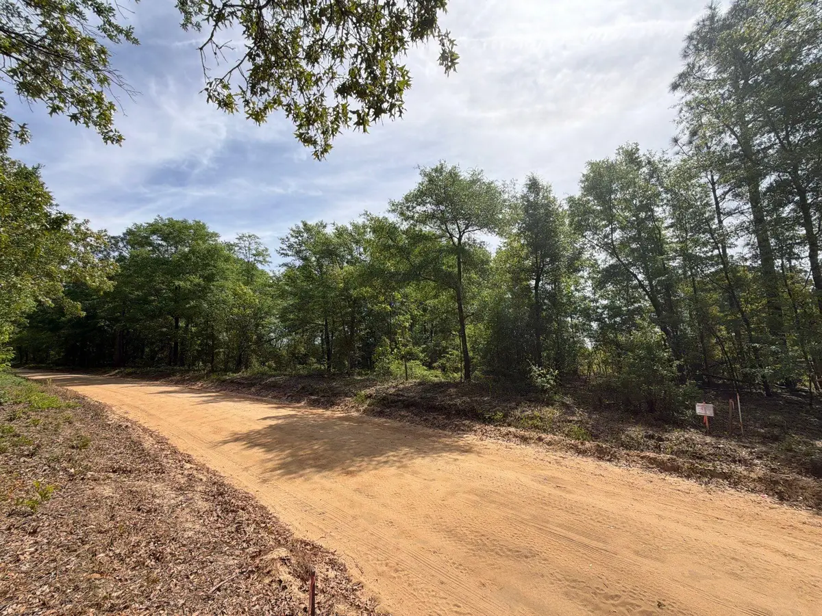 Rrf 7 Rogers Cemetery Road #Rrf 7, Salley, SC 29137 - #1