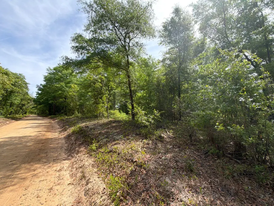 Rrf 7 Rogers Cemetery Road #Rrf 7, Salley, SC 29137 - #2