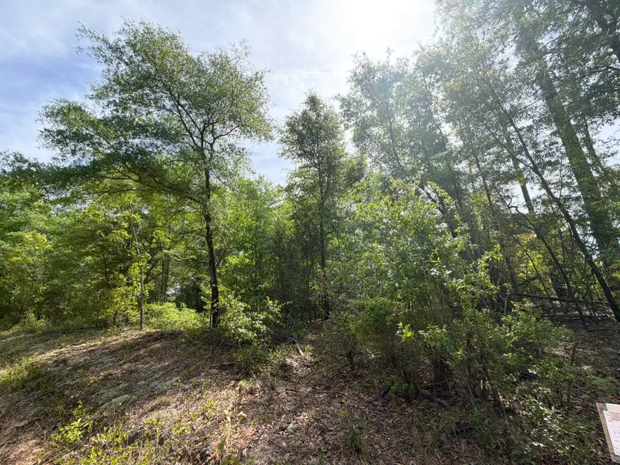 Rrf 7 Rogers Cemetery Road #Rrf 7, Salley, SC 29137 - #3
